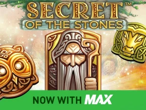 Secret of the Stones