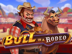 Bull in a Rodeo